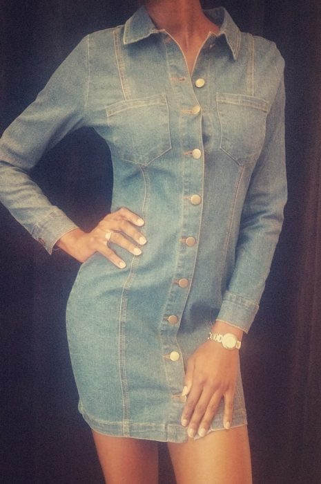Standard Denim Button Up Dress - The Standard Detroit